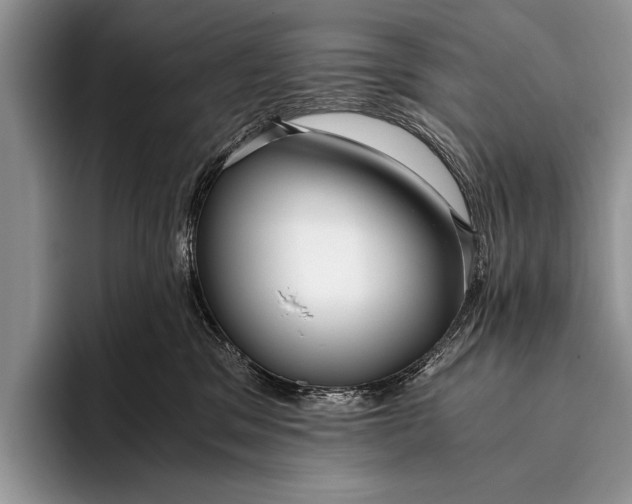 X0000096200329200802081545