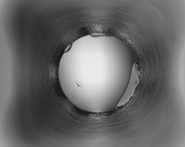 X0000096200331200802081545