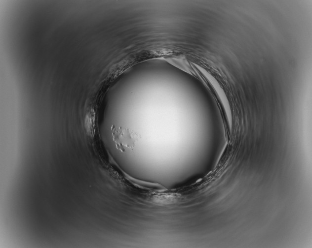 X0000096200332200802081545