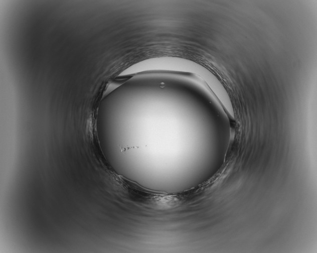 X0000096200333200802081545