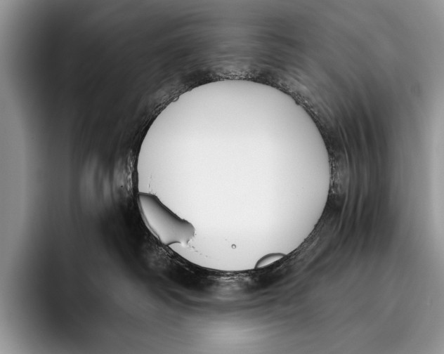 X0000096200334200802081545