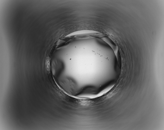 X0000096200336200802081545