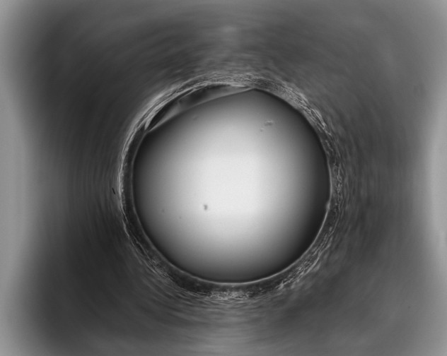 X0000096200340200802081544