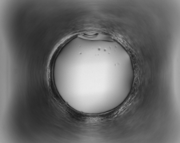 X0000096200342200802081544