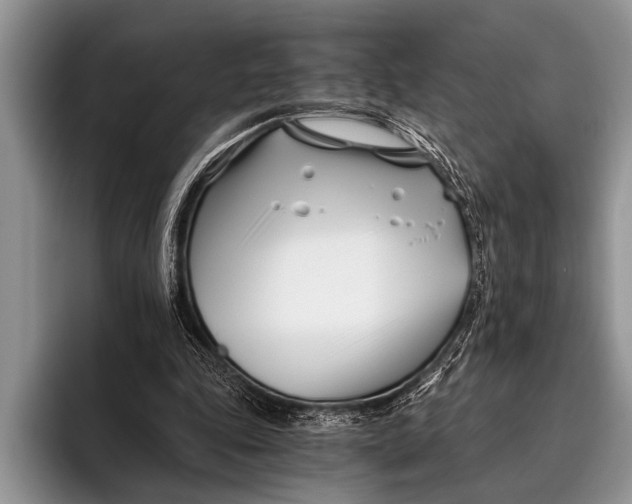 X0000096200343200802081544