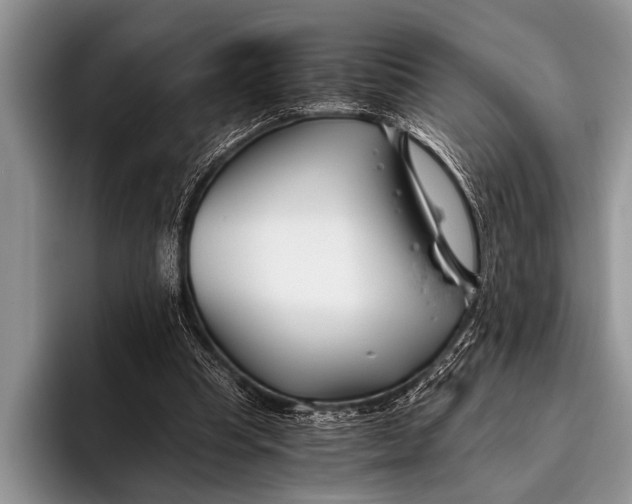 X0000096200345200802081544