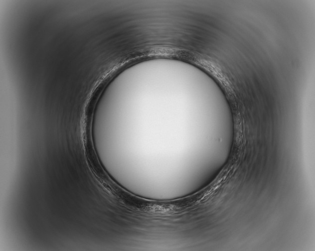 X0000096200346200802081545