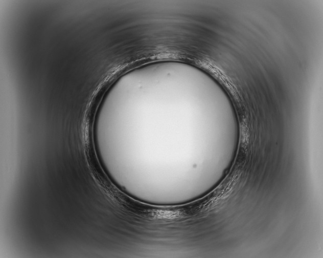 X0000096200347200802081545