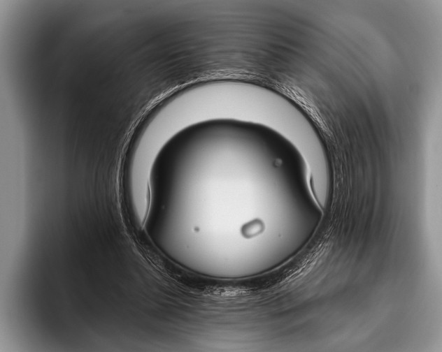 X0000096200348200802081545