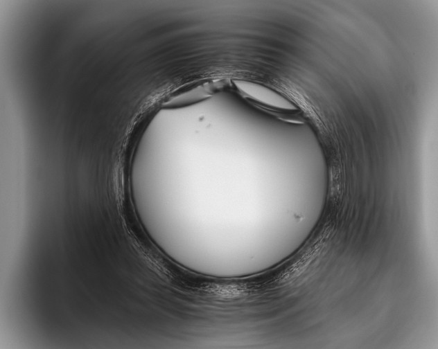 X0000096200349200802081545