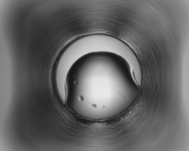 X0000096200350200802081545