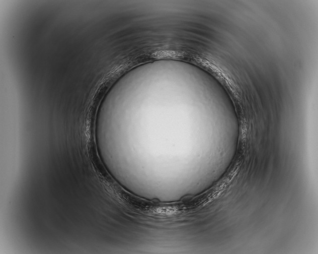 X0000096200353200802081545