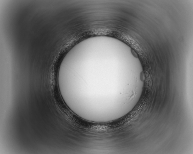 X0000096200354200802081545