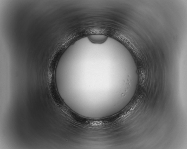 X0000096200355200802081545