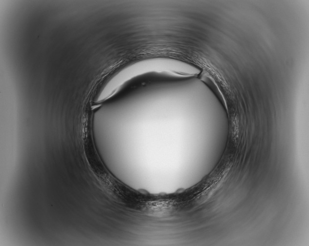 X0000096200356200802081545