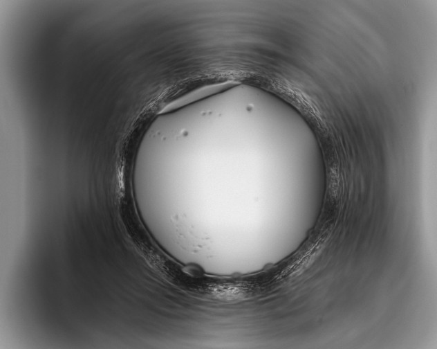 X0000096200358200802081545