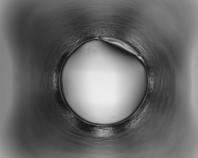 X0000096200359200802081545