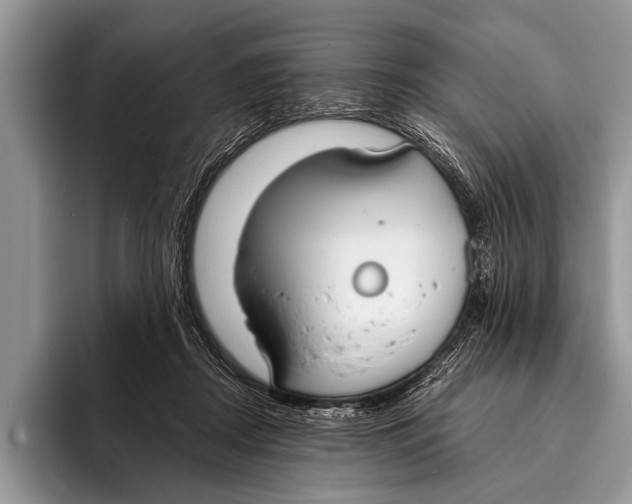 X0000096200362200802081545