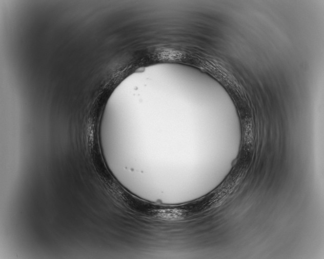 X0000096200363200802081545