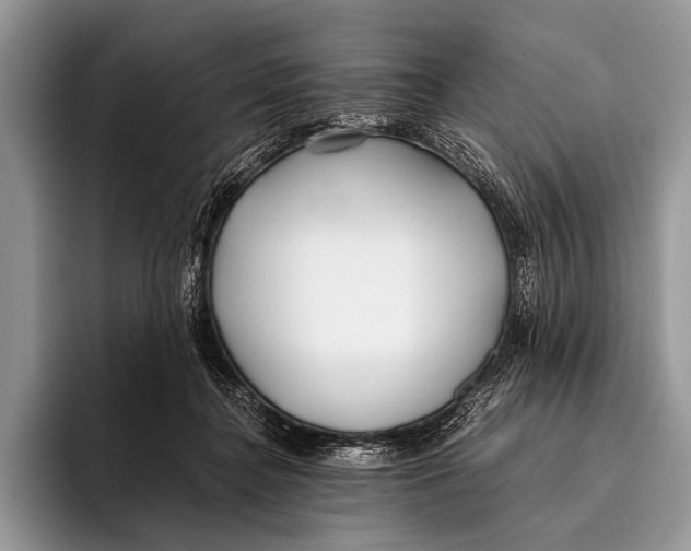 X0000096200364200802081545