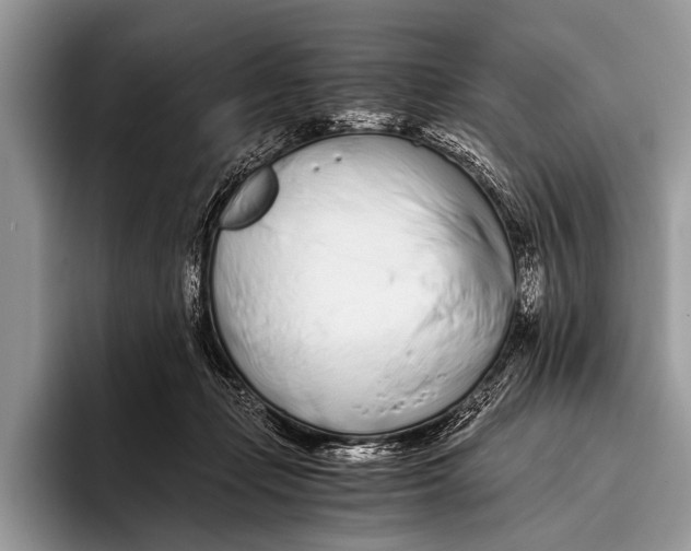 X0000096200365200802081545