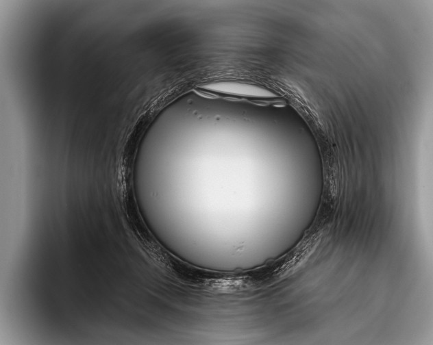 X0000096200366200802081545