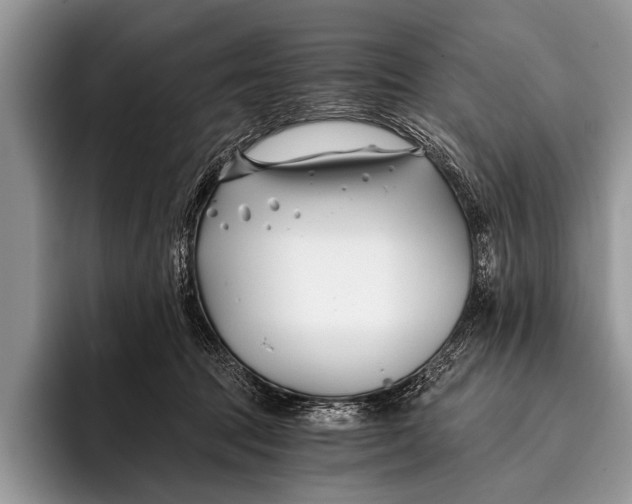 X0000096200369200802081545