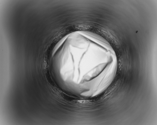 X0000096200371200802081545