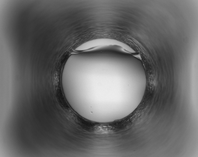 X0000096200372200802081545