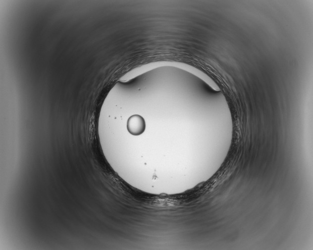 X0000096200376200802081545