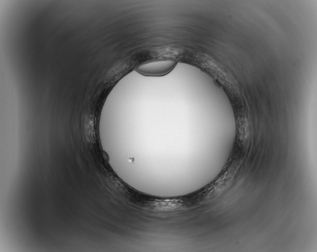 X0000096200378200802081545