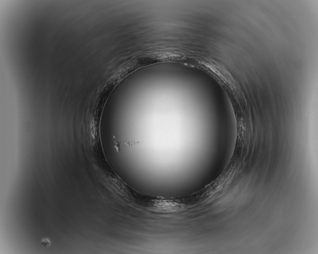 X0000096200380200802081545