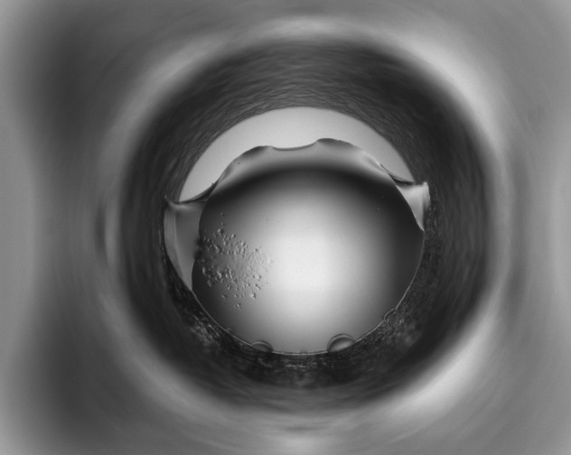 X0000096200382200802081545