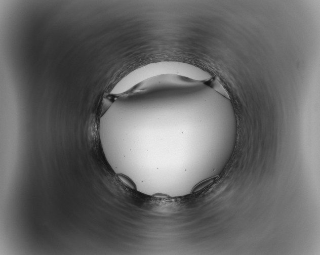 X0000096200384200802081545