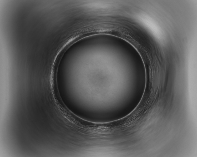 X0000096200387200802081544