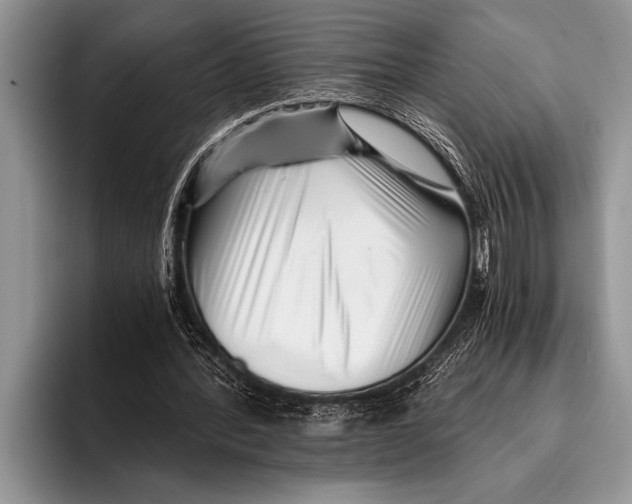 X0000096200388200802081544