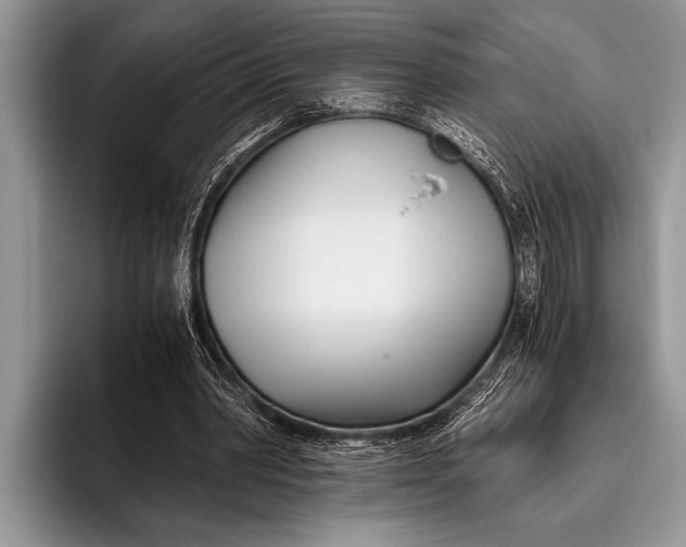 X0000096200390200802081544