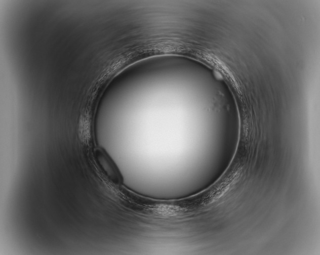 X0000096200393200802081544