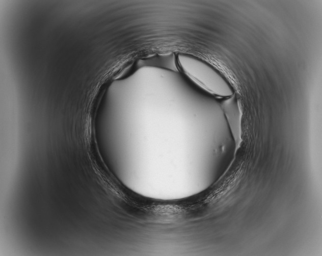 X0000096200397200802081544