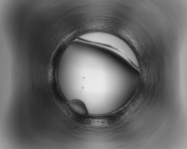 X0000096200400200802081544