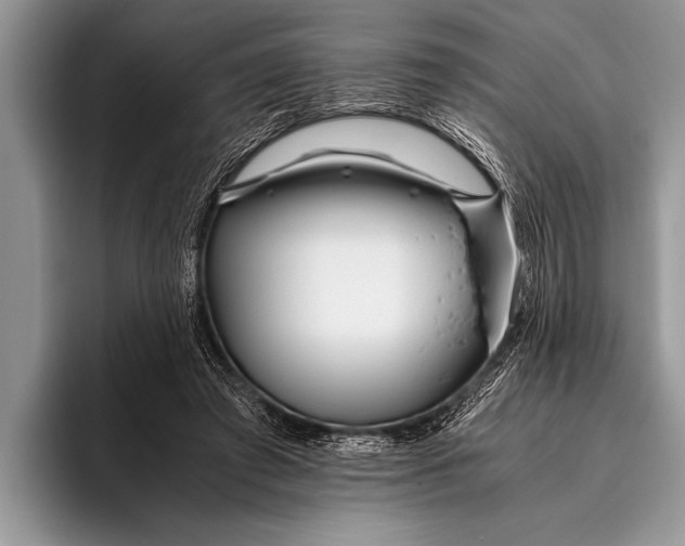 X0000096200401200802081544