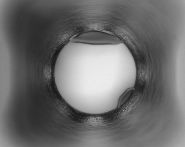 X0000096200403200802081544