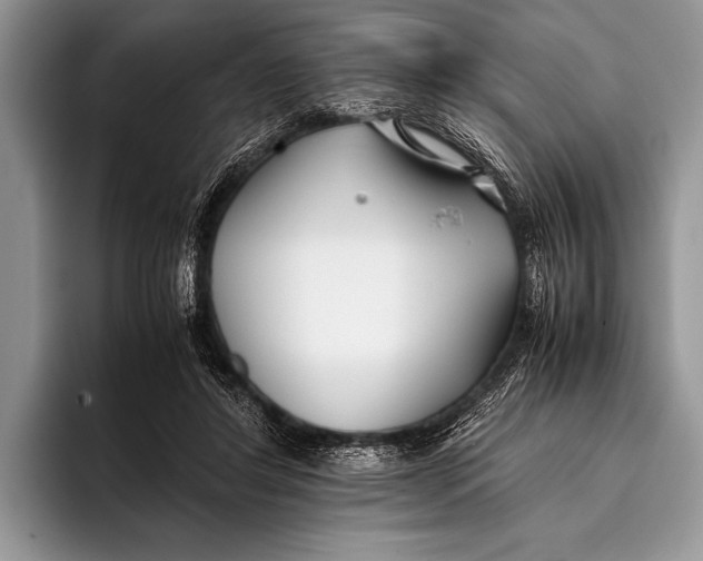 X0000096200404200802081544