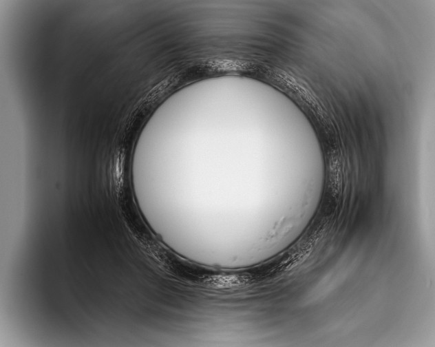 X0000096200406200802081544