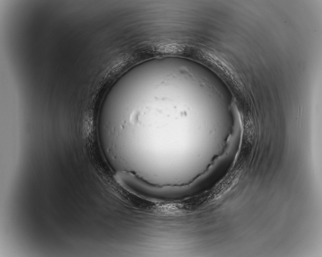 X0000096200407200802081544