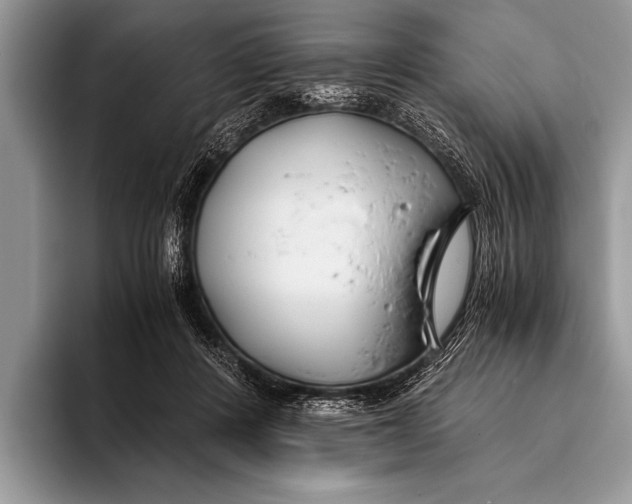 X0000096200408200802081544