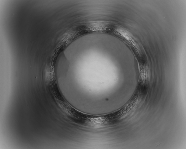 X0000096200411200802081544