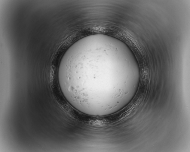 X0000096200412200802081544