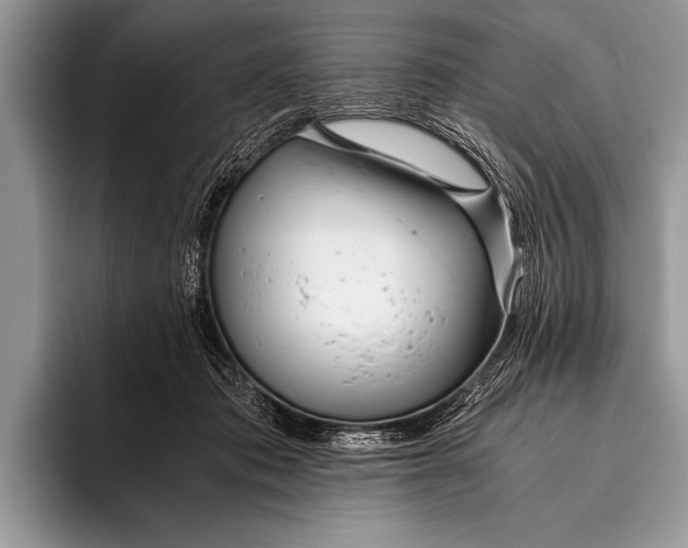 X0000096200413200802081544