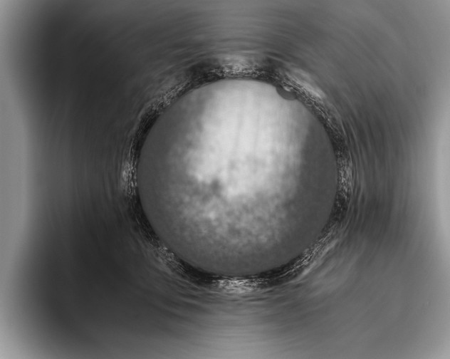 X0000096200419200802081544